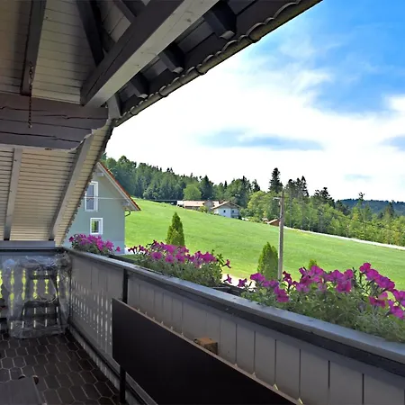 公寓 Beautiful In The Bavarian Forest With Balcony And Whirlpool Tub